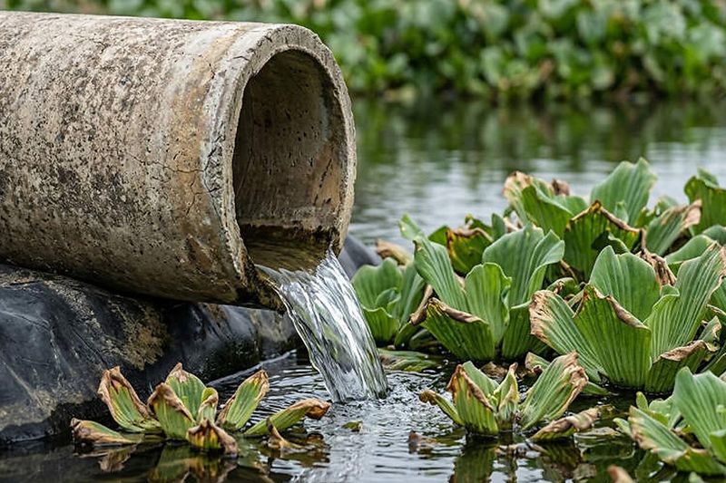 Environmental consulting Pakistan