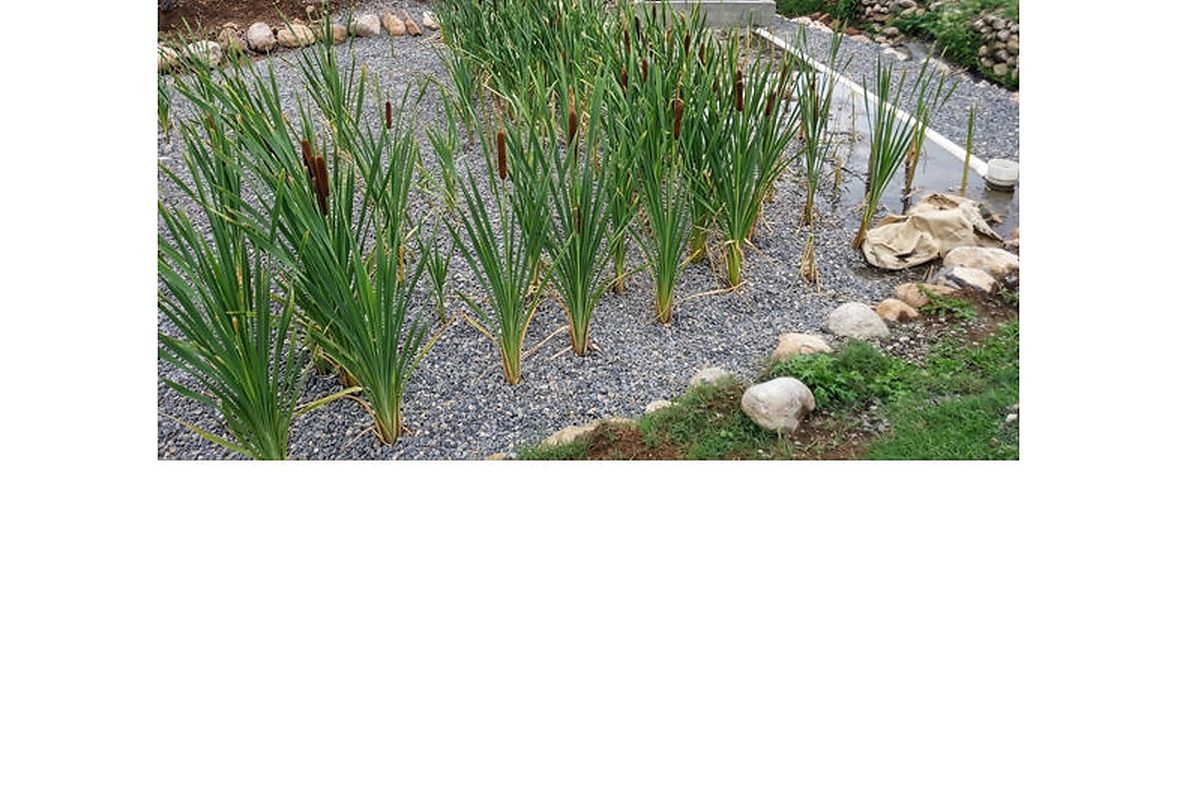 HSSF horizontal sub-surface flow wetland system