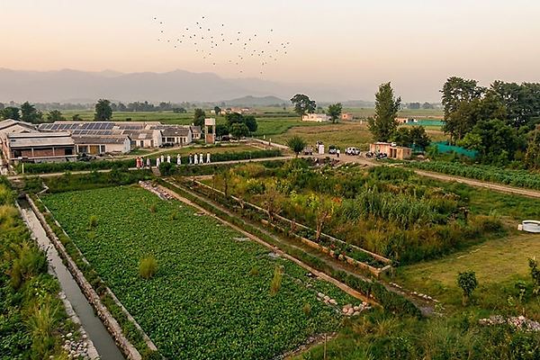 CG Constructed Wetlands™ — Critical GREEN