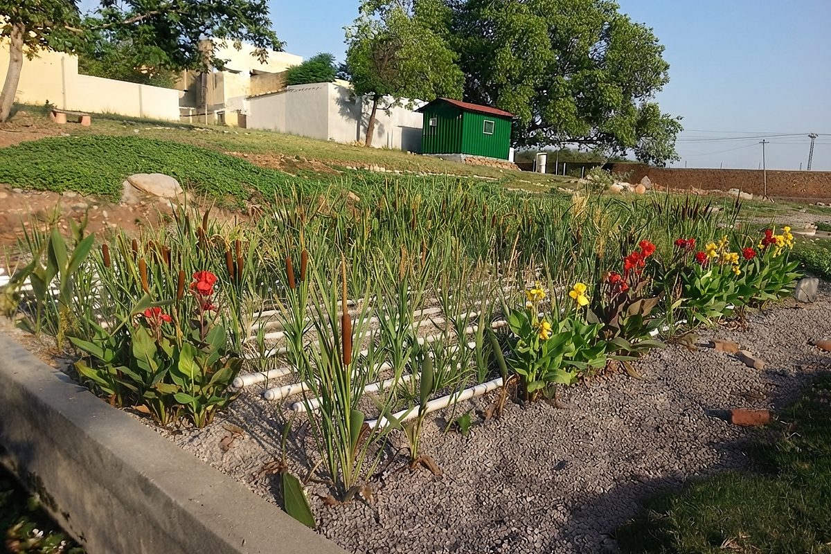 Vertical flow wetland configuration — technical illustration