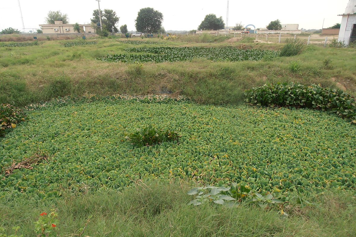 Community WASH project Village UC Khazana Peshawar KPK — Critical GREEN