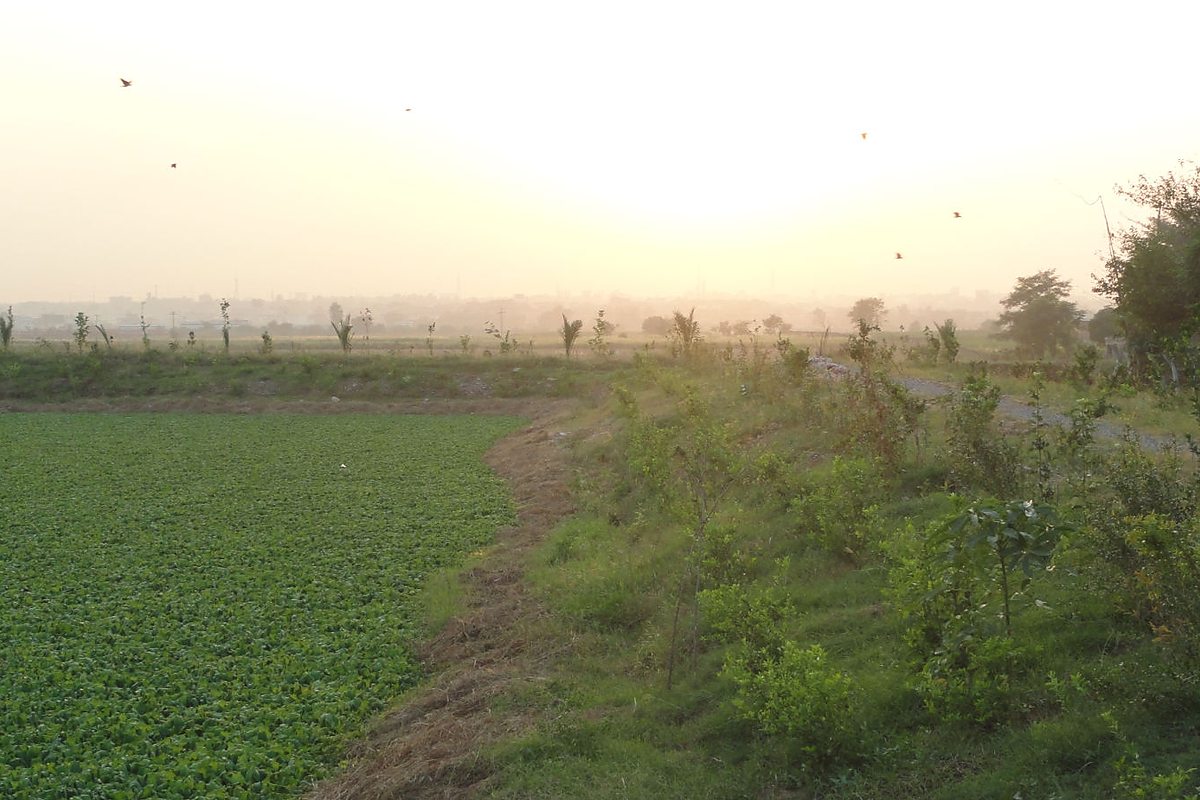Community WASH project Village Ghari Afghana Taxila UNDP — Critical GREEN