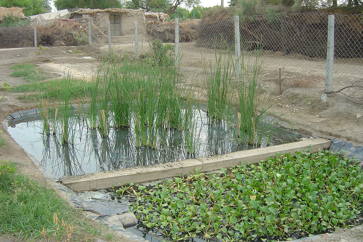 Community WASH project Village Pattal Muzaffargarh — Critical GREEN