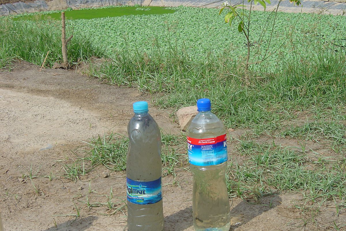 Community WASH project Village Rajib Pahore Jacobabad Sindh — Critical GREEN