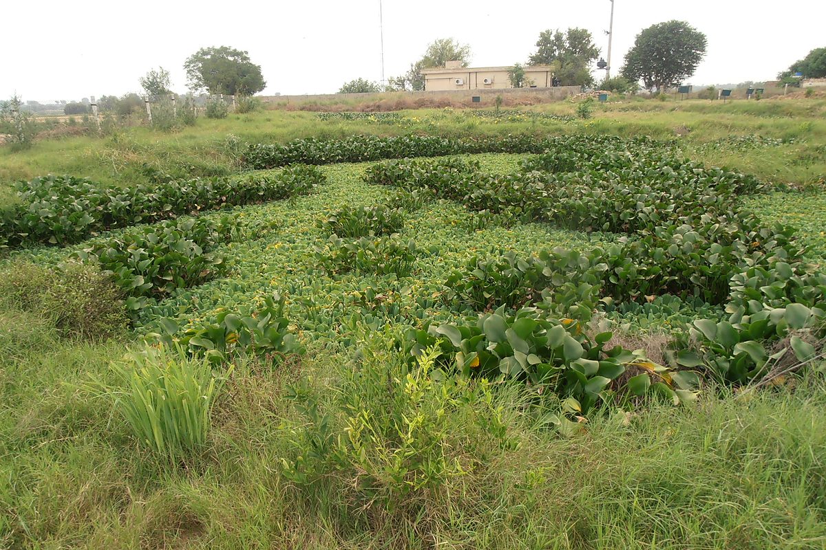 Community WASH project Village Nur Pur Jaffarabad Balochistan — Critical GREEN