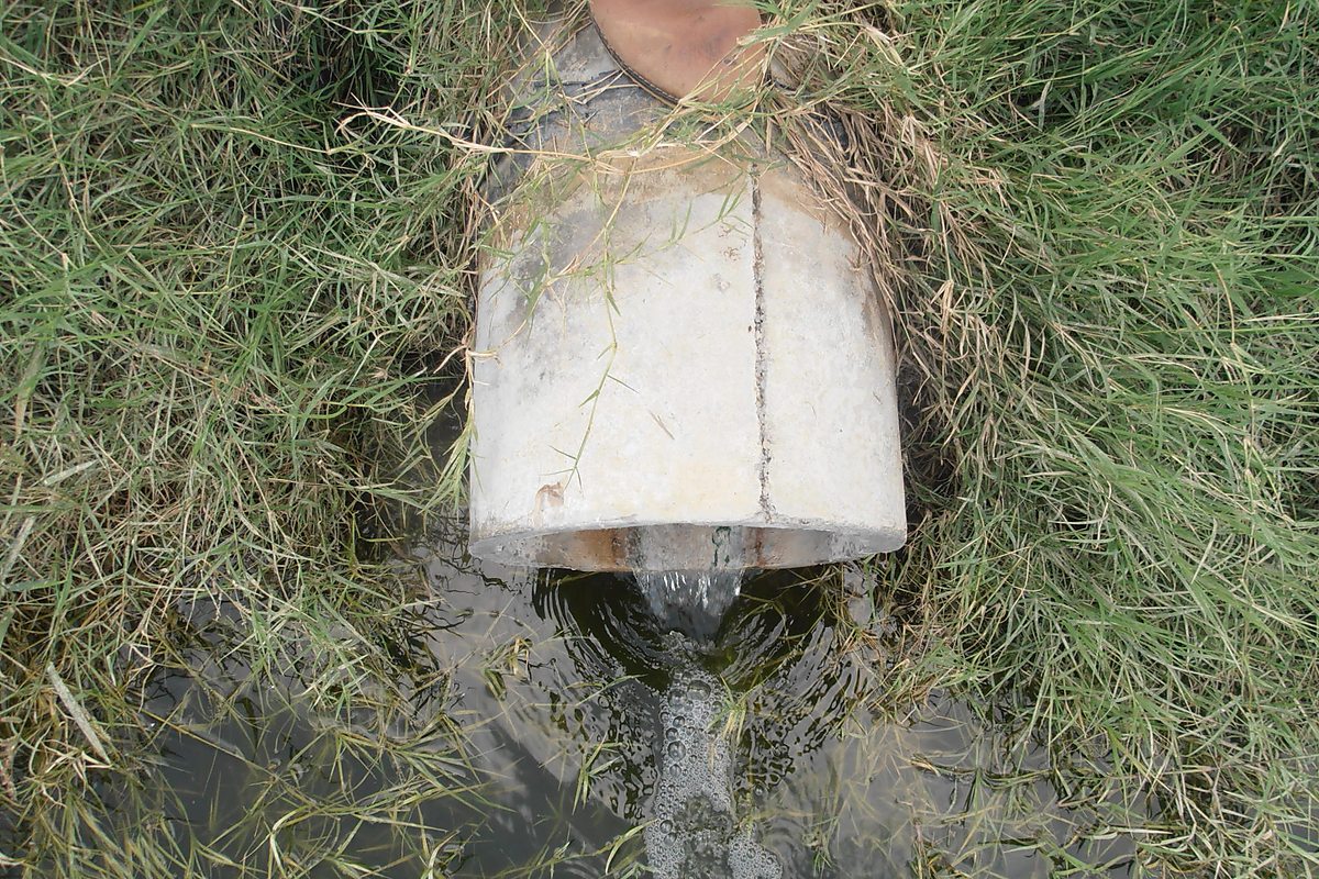 40 household constructed wetlands Beer Pani Bagh AJK — Critical GREEN
