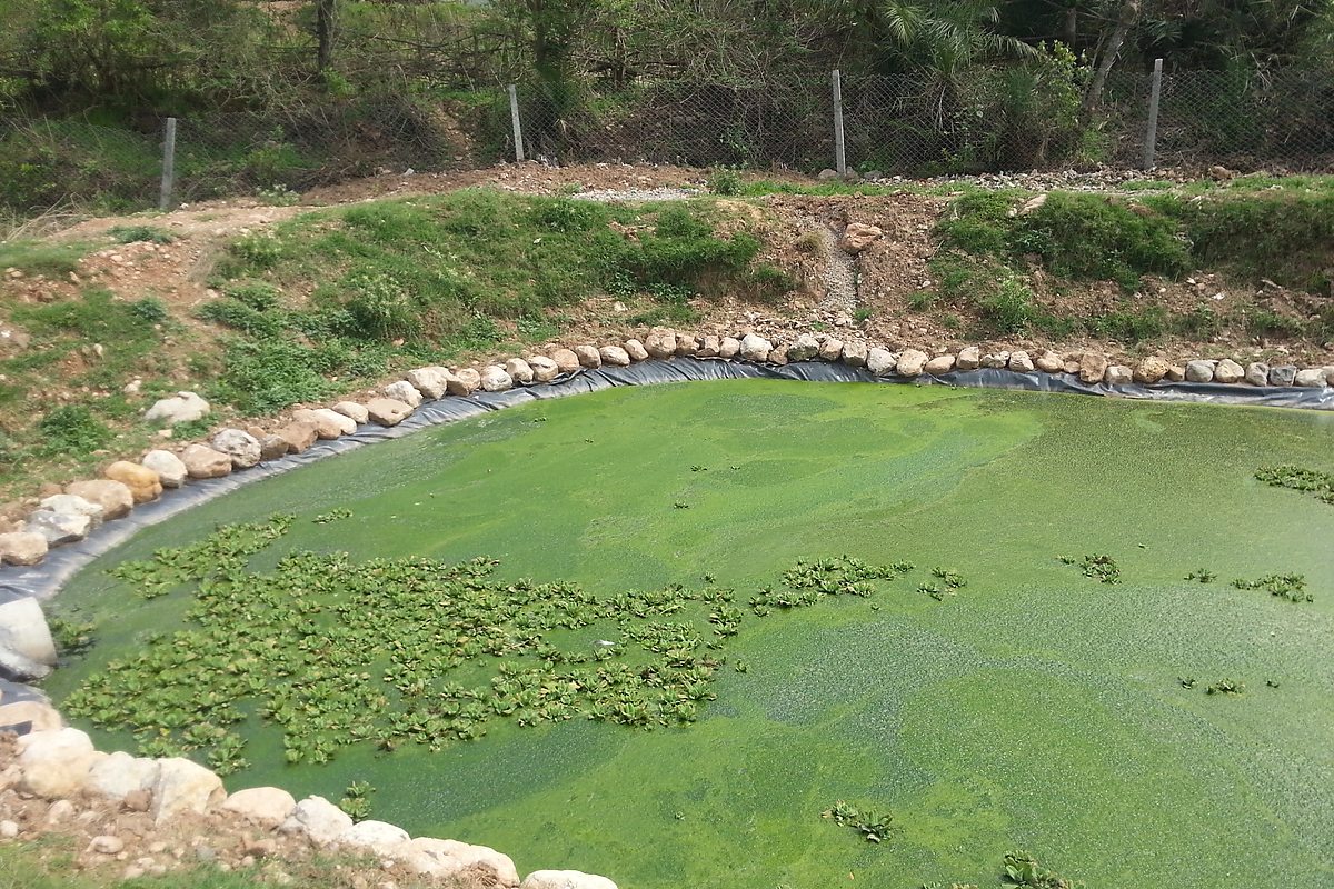 Community WASH project Village Sheikh Jana Mardan KPK — Critical GREEN